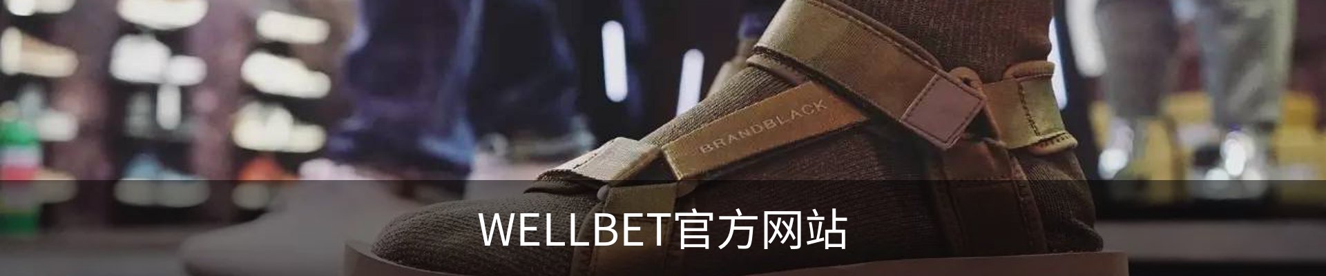 WELLBET - 官方网站